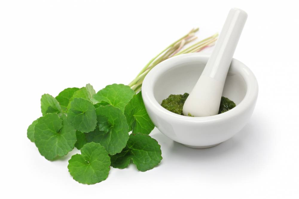 Centella Asiatica actifs végétaux