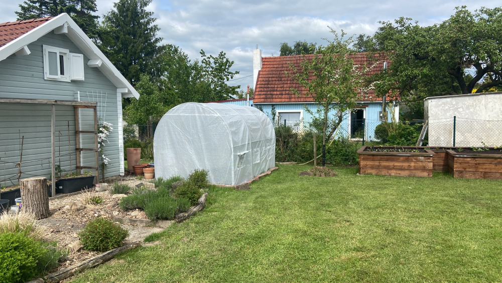 Serre tunnel blanche installée dans un jardin avec des bacs potagers.