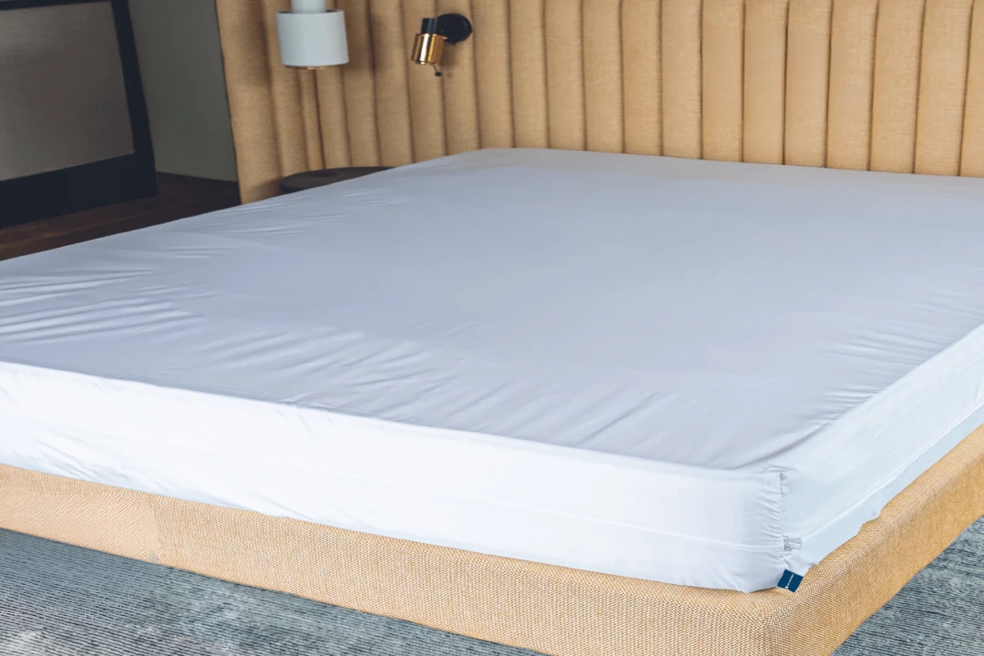 Quelle housse acheter pour un matelas déjà infesté de punaises de lit ?
