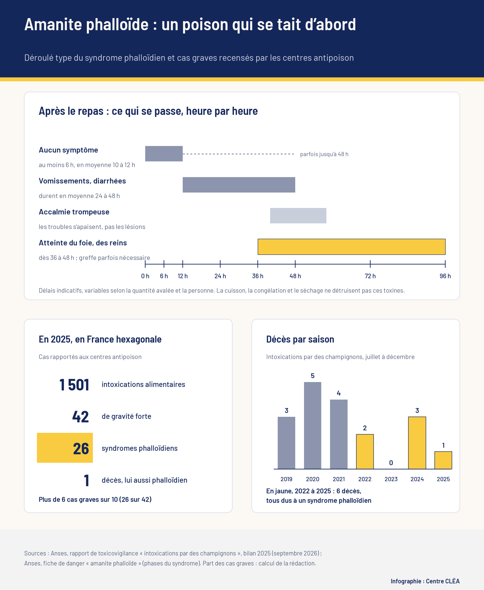 Infographie : déroulé du syndrome phalloïdien heure par heure après le repas, intoxications graves par des champignons en France en 2025 et décès par saison de 2019 à 2025.