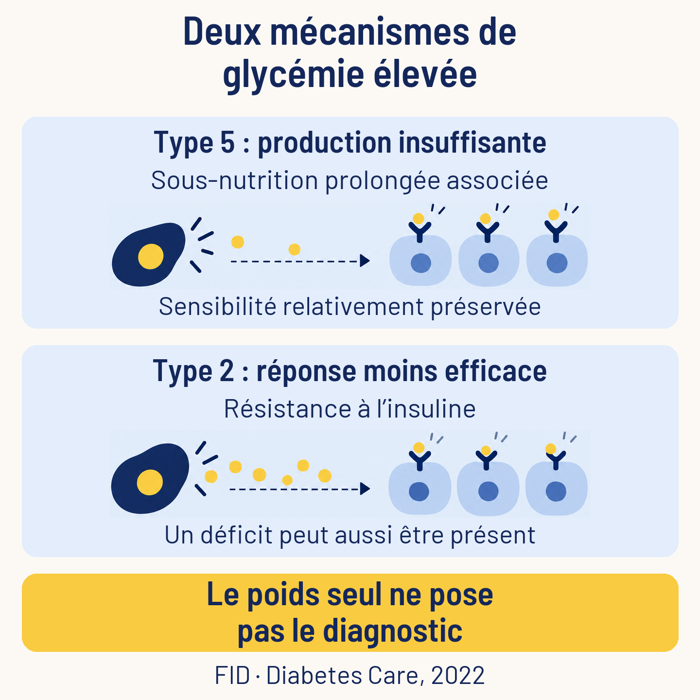 Deux profils simplifiés de glycémie élevée : production insuffisante d’insuline dans le type 5 et réponse moins efficace dans le type 2. Le poids seul ne pose pas le diagnostic.