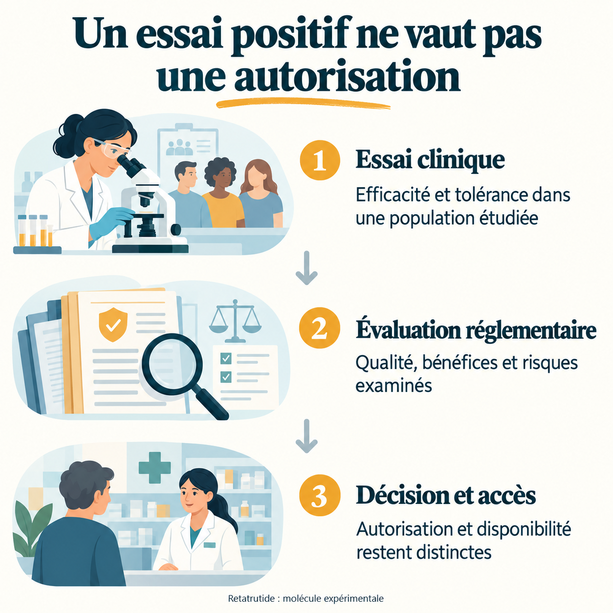 Trois étapes distinctes : essai clinique, évaluation réglementaire, puis décision et accès.