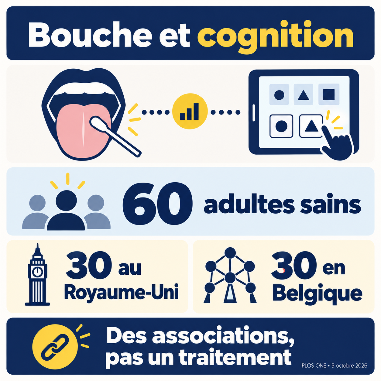Étude de 60 adultes sains répartis entre Royaume-Uni et Belgique : des associations, pas un traitement.