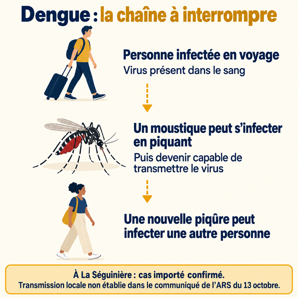 La chaîne de transmission de la dengue à interrompre Schéma de la chaîne possible : une personne infectée en voyage, un moustique tigre puis une autre personne. À La Séguinière, la transmission locale n’est pas établie dans le communiqué du 13 octobre.