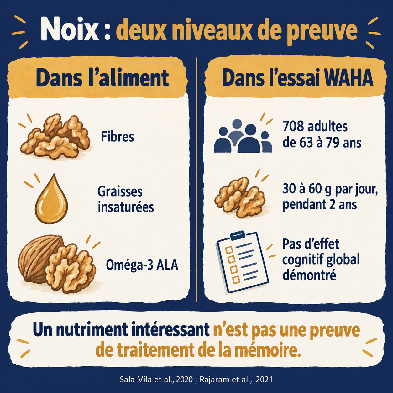 Fibres, graisses insaturées et oméga-3 ALA dans les noix ; essai WAHA chez 708 adultes, sans effet cognitif global démontré après deux ans.